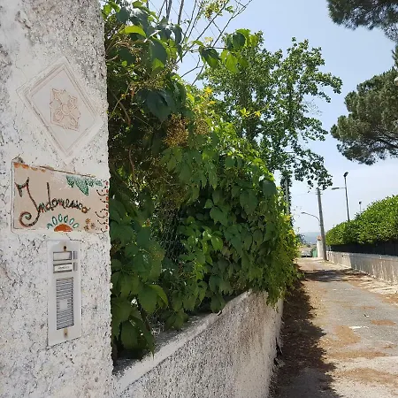Indomenico *